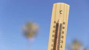 Das Bild zeigt ein Thermometer bei hoher Temperatur.